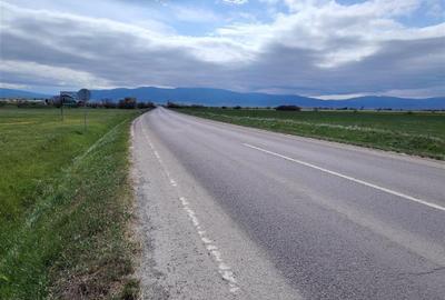 Teren agricol extravilan de 5550 mp, în Sud - 5