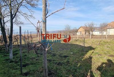 Casa cu doua corpuri de locuit in Mihalt Casa cu doua corpuri de locuit in Mihalt - 18