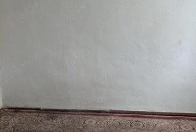 Casă cu 3 camere cu Teren 1877 Mp în Movila - 6