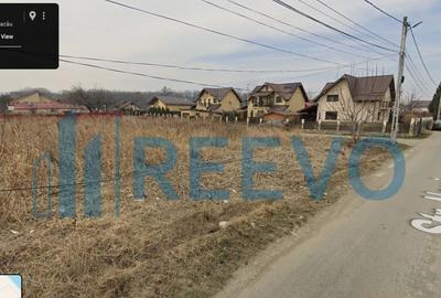 Teren de 1600 mp, în Lilieci - 3