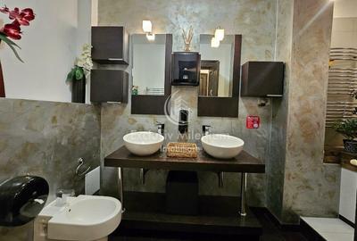 Vila Exclusivista Cismigiu  - Stirbei Voda Birouri - 8