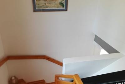 PESTERA CASA DE VANZARE - MOECIU! - 16