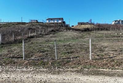 Teren de 900 mp, în Săldăbagiu de Munte - 13