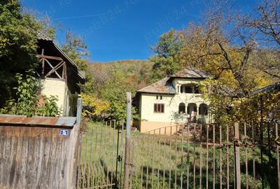 Vand casa si teren in Gheboieni, Dambovita - 1