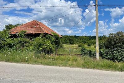 Casă cu 2 camere cu Teren 3893 Mp în Crasna - 3