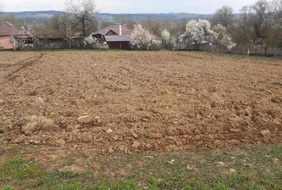 Casă cu 2 camere cu Teren 5 Mp în Zegujani - 4