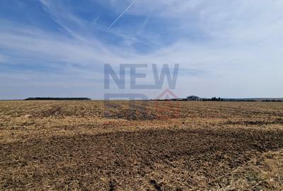 Teren de vanzare de 11.068 mp extravilan arabil in zona Belciugatele - zona lac - 1