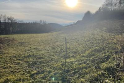 Spațiu comercial, în Vârciorog - 3