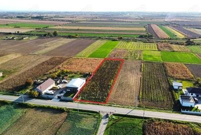 Teren de 3000 mp, în Central - 10