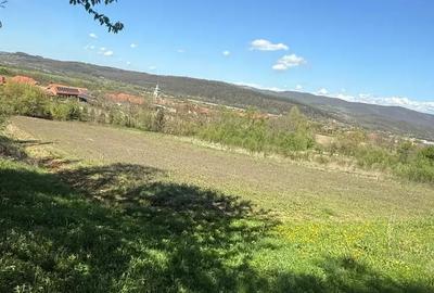 Casă cu 3 camere în Teiu - 3