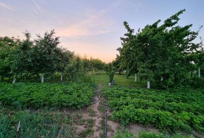 Casă cu 4 camere în Mâsca - 8