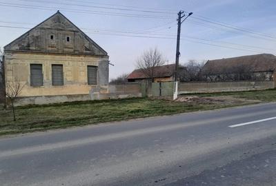 Casă cu 3 camere cu Teren 3000 Mp în Satu Mare