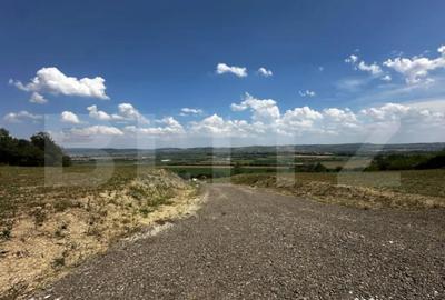 Teren de 15500 mp, în Aiud - 8