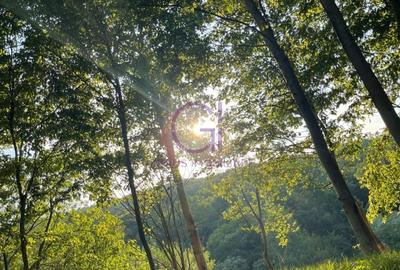 Teren intravilan superb in Cisnadioara pentru resedinta ta  privata de lux !