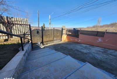 Casă cu 5 camere cu Teren 500 Mp în Tomești - 5