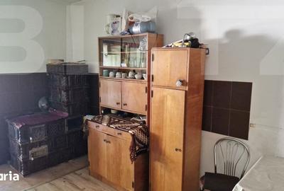 Casă cu 4 camere cu Teren 3166 Mp în Burjuc - 8