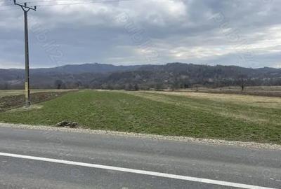 Teren de 3145 mp, în Mănăstirea Cașin - 5