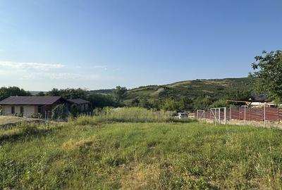 Spațiu comercial, în Aroneanu - 1