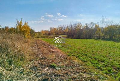 Teren si constructie demolabila, Ghioldum, Cocorastii Colt - 14