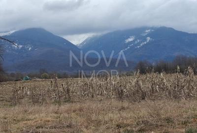 Teren agricol extravilan de 2100 mp, în Arpașu de Sus - 6