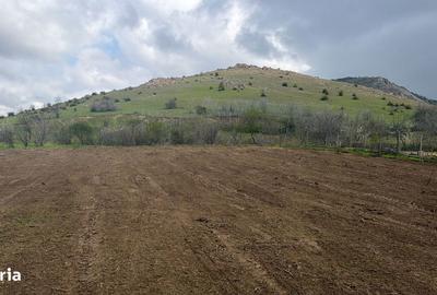 Teren de 1100 mp, în Greci - 6