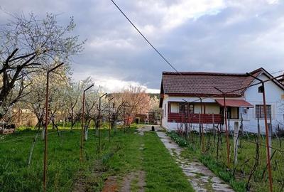 Casă cu 4 camere în Breasta - 8