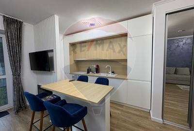 Studio luminos,55 mp, 2022 + parcare, Sinaia, introdus regim hotelier - 4