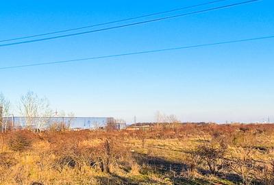 Teren Construcții intravilan de 9980 mp, în Bradu - 3