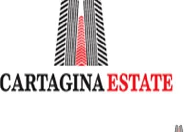 Teren intravilan stradal Dascalu 15900mp / fs 39ml - 2