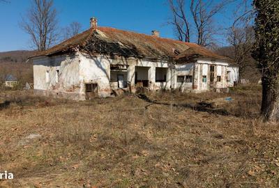 Casă cu 8 camere cu Teren 7235 Mp în Traian Vuia - 2