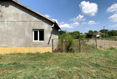 Casă individuală cu 4 camere cu Teren 2518 Mp în Otelec - 2