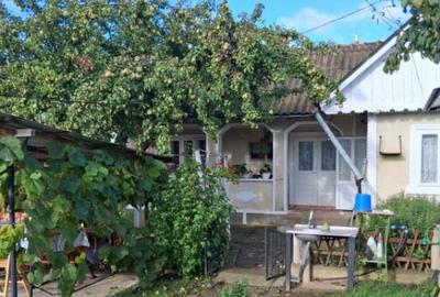 Casa si teren 2000mp Draguseni - 1