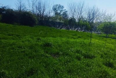 Teren intravilan de 10000 mp, în Grădiștea - 7