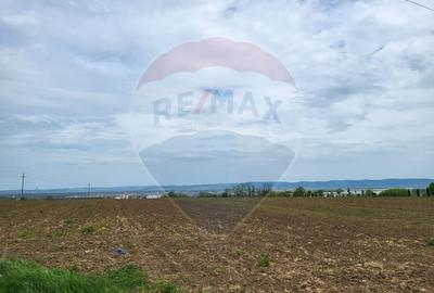 Teren agricol extravilan de 2475 mp, în Măgura - 1