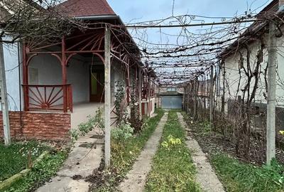 Casă în Viișoara - 4