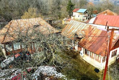 Teren Construcții de 3948 mp, în Provița de Sus - 25