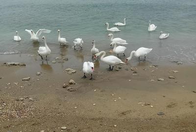 Apartament cu 3 camere decomandat în Nord - 2