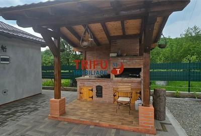 Casă cu 1 camere cu Teren 1335 Mp în Ighiu - 6