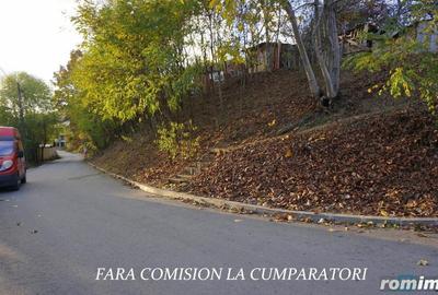 OSTROVENI, TEREN 3231 MP - PRETABIL DEZVOLTARE REZIDENTIALA - 11