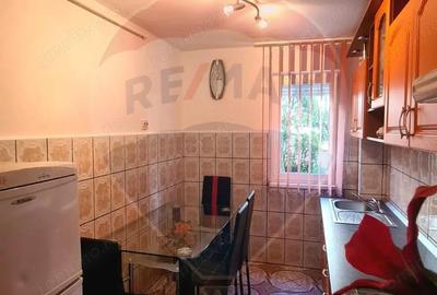 Apartament la parter, str. Sinaia, cartier Gura Campului - 6