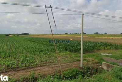 Teren de 4300 mp, în Păulești - 1