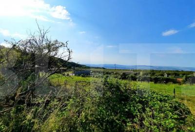 Teren de 3300 mp, în Central - 6