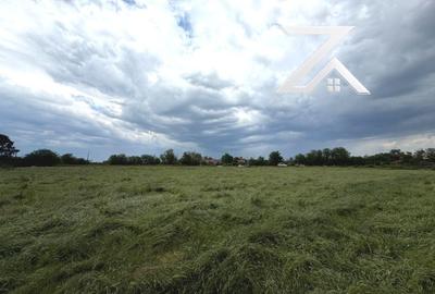 Teren Construcții intravilan de 9375 mp, în Cernele - 4