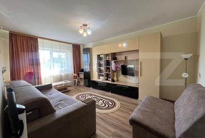 Apartament cu 1 camera - Frumoasa