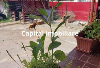 Casă cu 8 camere cu Teren 5000 Mp în Bengești - 9