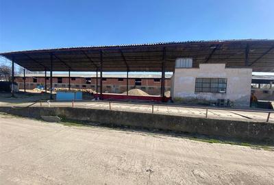 Spațiu industrial, în Est - 3