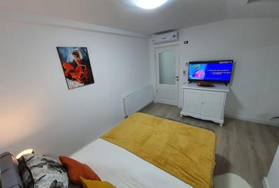 Apartament cu 2 camere semidecomandat, mobilat în Parcul Carol - 3