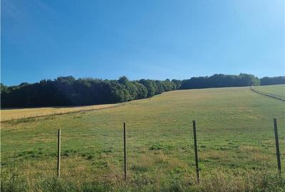 Teren intravilan de 31000 mp, în Sâncraiu de Mureș - 2