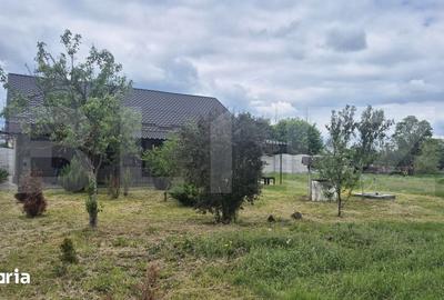 Casă cu 3 camere cu Teren 2918 Mp în Doba - 4
