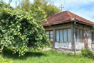 Teren agricol intravilan de 14368 mp, în Valea Bradului - 3